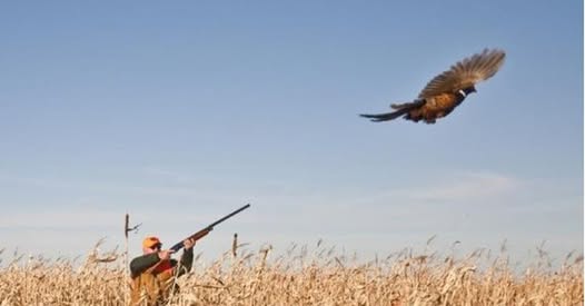 Pheasant Shoot – February 28, 2026