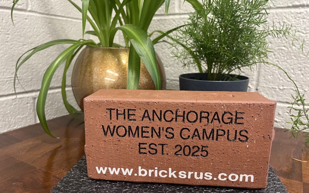 Brick Pathway to Recovery