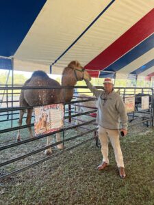 IMGGAL-Camel-and-Greg